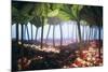 Rhubarb Forest with a Berry Floor-Hartmut Seehuber-Mounted Photographic Print