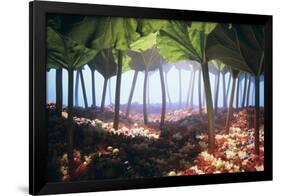 Rhubarb Forest with a Berry Floor-Hartmut Seehuber-Framed Photographic Print