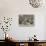 Rhubarb Gatherers-Charles Joseph Staniland-Giclee Print displayed on a wall