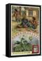 Rhubarb; Grating Roots in Tibet-null-Framed Stretched Canvas
