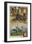Rhubarb; Grating Roots in Tibet-null-Framed Giclee Print