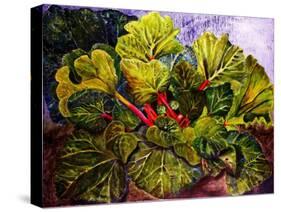 rhubarb-jocasta shakespeare-Stretched Canvas