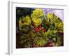 rhubarb-jocasta shakespeare-Framed Giclee Print