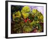 rhubarb-jocasta shakespeare-Framed Giclee Print