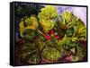 rhubarb-jocasta shakespeare-Framed Stretched Canvas
