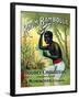 Rhum Bamboula-null-Framed Art Print