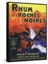 Rhum des Roches Noires Brand Rum Label-Lantern Press-Framed Stretched Canvas