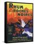 Rhum des Roches Noires Brand Rum Label-Lantern Press-Framed Stretched Canvas