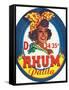 Rhum Palita Brand Rum Label-Lantern Press-Framed Stretched Canvas