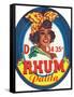 Rhum Palita Brand Rum Label-Lantern Press-Framed Stretched Canvas