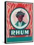 Rhum Rum Label-Lantern Press-Framed Stretched Canvas