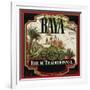 Rhum Traditionnel Baya Brand Rum Label-Lantern Press-Framed Art Print