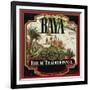 Rhum Traditionnel Baya Brand Rum Label-Lantern Press-Framed Art Print