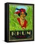 Rhum Vieux Rum Label-Lantern Press-Framed Stretched Canvas