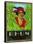 Rhum Vieux Rum Label-Lantern Press-Framed Stretched Canvas