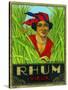 Rhum Vieux Rum Label-Lantern Press-Stretched Canvas