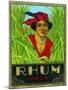 Rhum Vieux Rum Label-Lantern Press-Mounted Art Print