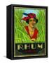 Rhum Vieux Rum Label-Lantern Press-Framed Stretched Canvas