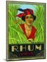 Rhum Vieux Rum Label-Lantern Press-Mounted Art Print