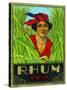 Rhum Vieux Rum Label-Lantern Press-Stretched Canvas