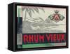 Rhum Vieux Rum Label-Lantern Press-Framed Stretched Canvas