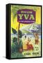 Rhum Yva Brand Rum Label-Lantern Press-Framed Stretched Canvas