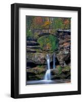 Rhynoodle-Jim Crotty-Framed Premium Photographic Print