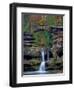 Rhynoodle-Jim Crotty-Framed Premium Photographic Print