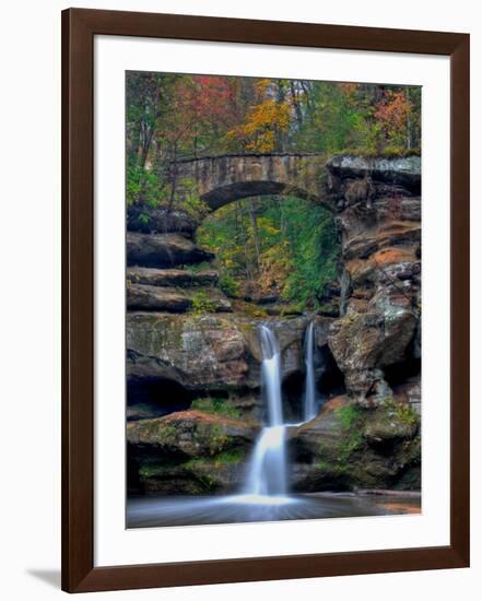 Rhynoodle-Jim Crotty-Framed Photographic Print