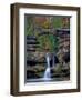 Rhynoodle-Jim Crotty-Framed Photographic Print