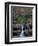 Rhynoodle-Jim Crotty-Framed Photographic Print