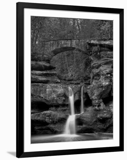 Rhynoodle-Jim Crotty-Framed Photographic Print