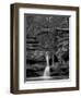 Rhynoodle-Jim Crotty-Framed Premium Photographic Print