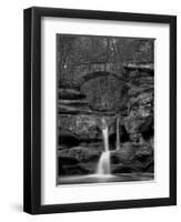 Rhynoodle-Jim Crotty-Framed Premium Photographic Print