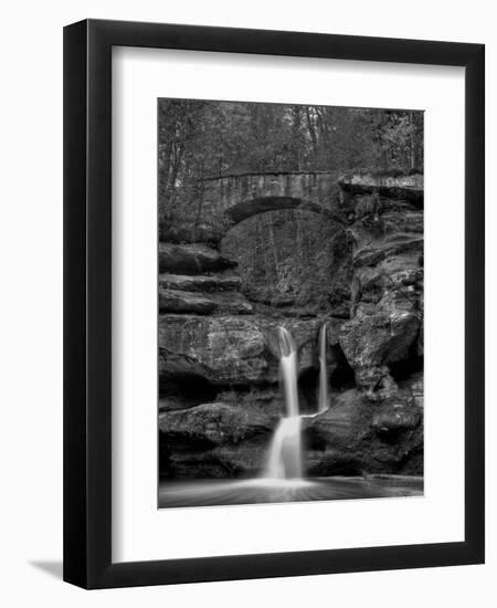 Rhynoodle-Jim Crotty-Framed Premium Photographic Print