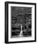 Rhynoodle-Jim Crotty-Framed Premium Photographic Print