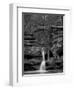 Rhynoodle-Jim Crotty-Framed Premium Photographic Print