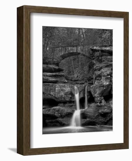 Rhynoodle-Jim Crotty-Framed Photographic Print