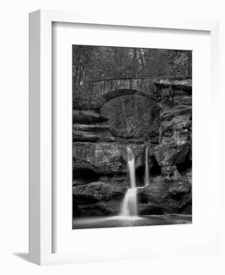 Rhynoodle-Jim Crotty-Framed Photographic Print