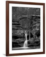 Rhynoodle-Jim Crotty-Framed Premium Photographic Print