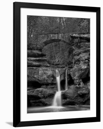 Rhynoodle-Jim Crotty-Framed Premium Photographic Print