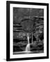 Rhynoodle-Jim Crotty-Framed Premium Photographic Print