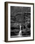Rhynoodle-Jim Crotty-Framed Photographic Print