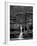 Rhynoodle-Jim Crotty-Framed Photographic Print