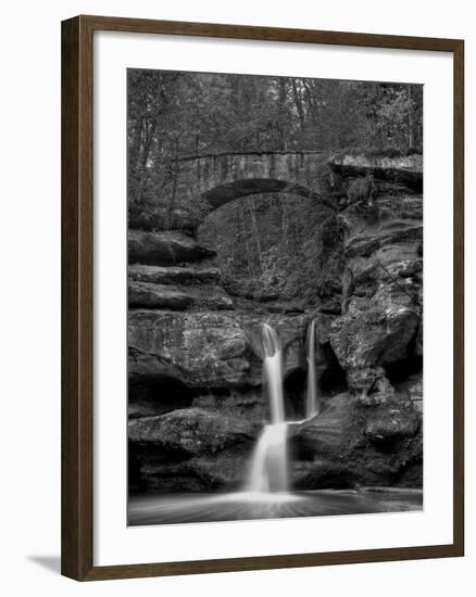 Rhynoodle-Jim Crotty-Framed Photographic Print