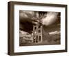 Rhyolite Nevada, Ghost Town-Steve Gadomski-Framed Photographic Print