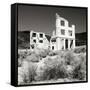 Rhyolite Ruin II BW-Douglas Taylor-Framed Stretched Canvas