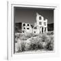 Rhyolite Ruin II BW-Douglas Taylor-Framed Photographic Print