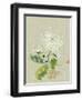 Rhythm of the Dance-Nan Rae-Framed Art Print