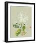 Rhythm of the Dance-Nan Rae-Framed Art Print